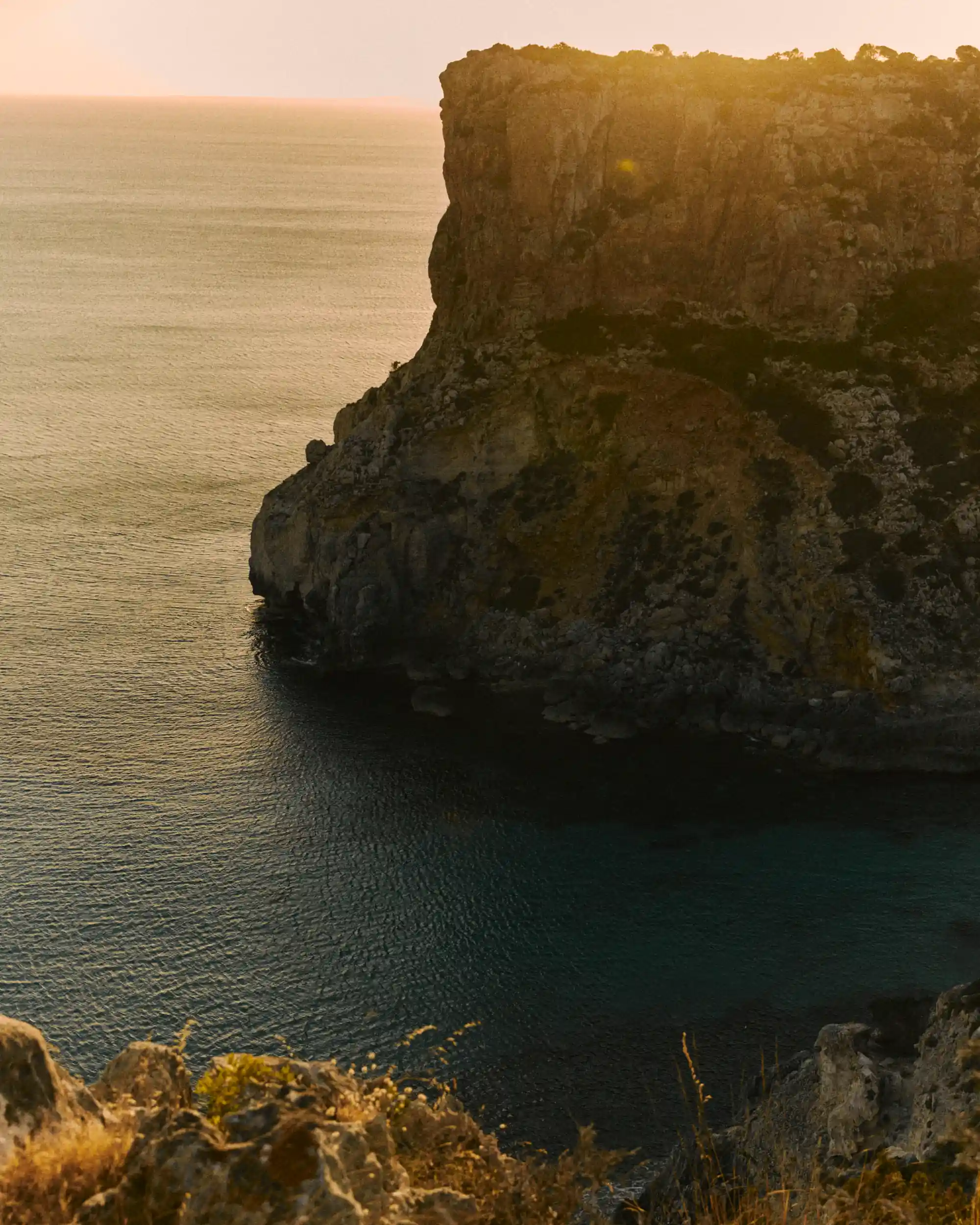 Rocky cliff overlooking calm water at sunset with warm golden light and vegetation in foreground.