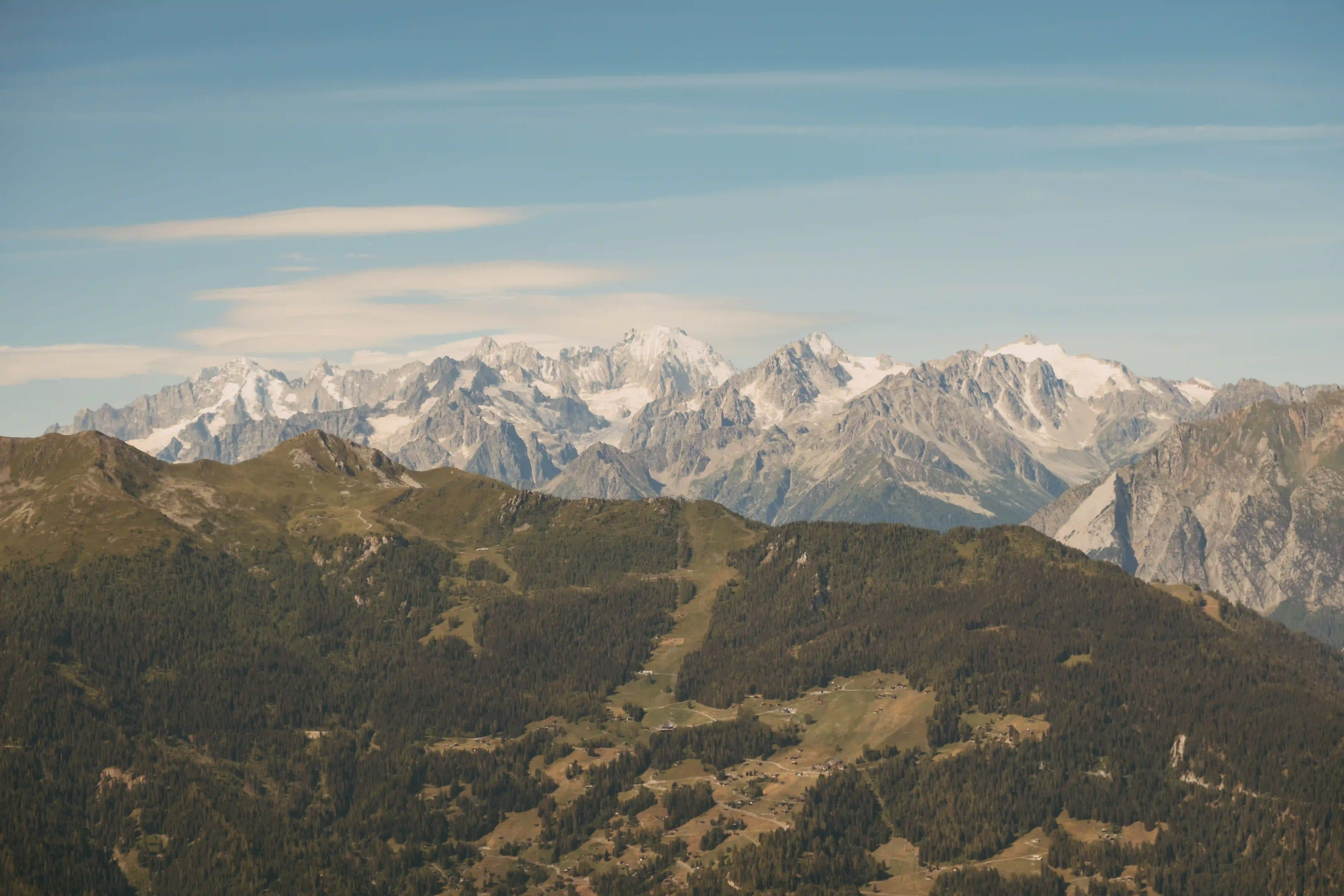 Snow-capped rugged mountains behind forested hills and small clearings under a blue sky.