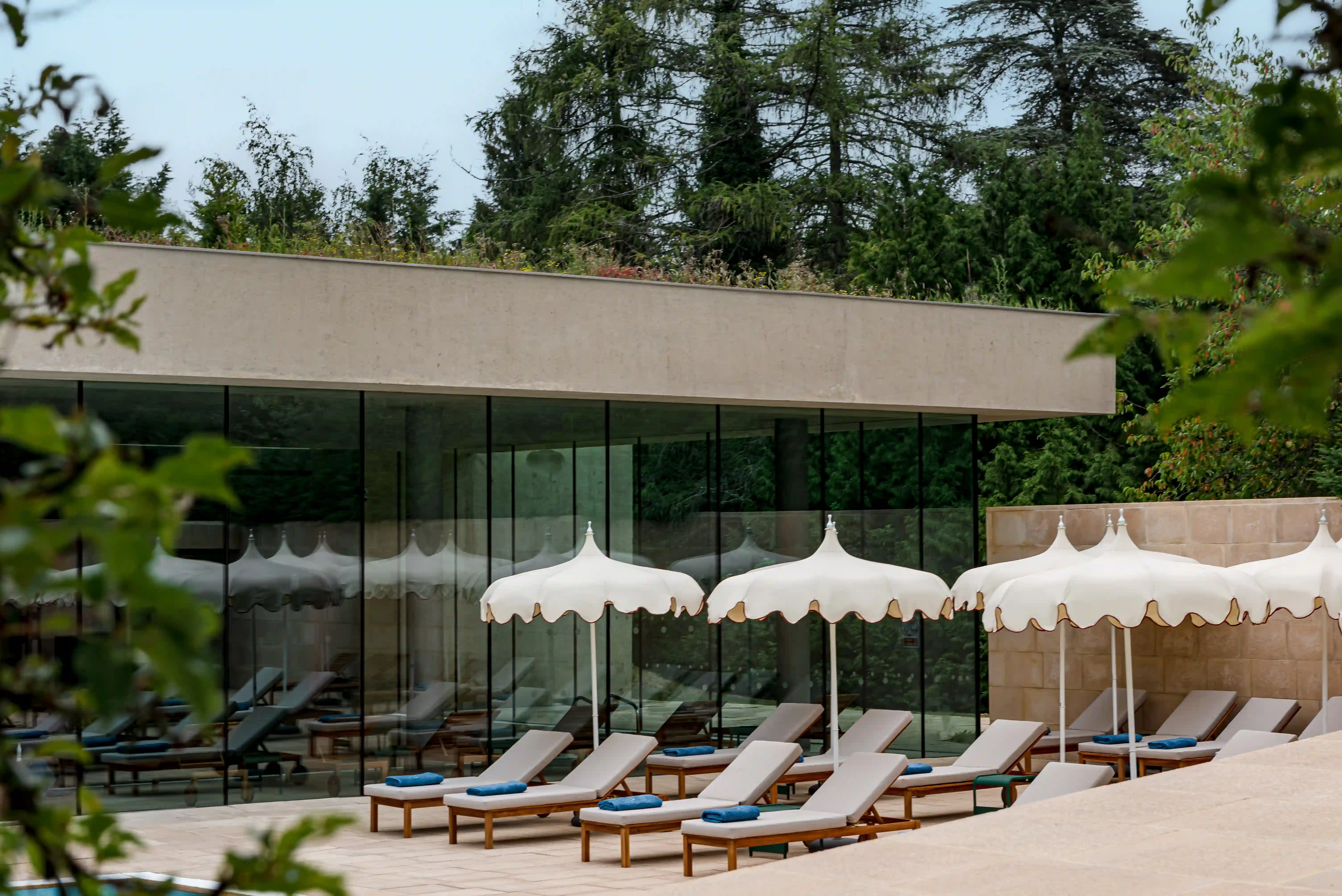 Row of lounge chairs with blue towels under white scalloped umbrellas by a glass building and trees.
