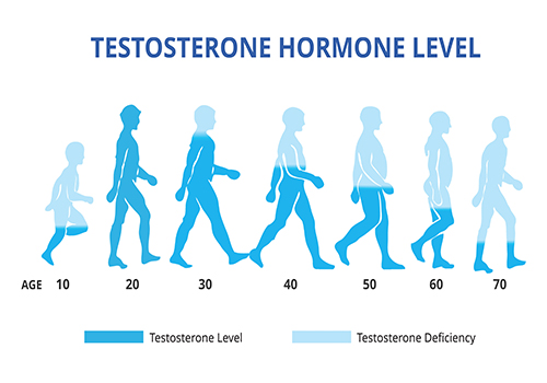 The Normal Range Trap: Why You Feel Low T Symptoms With "Normal" Labs