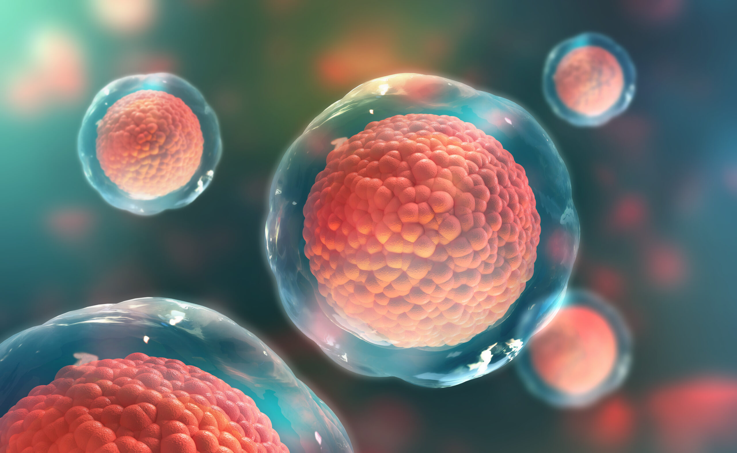 What Is Regenerative Medicine? PRP, Exosomes & Stem Cells Explained | Magnolia Functional Wellness Southlake TX