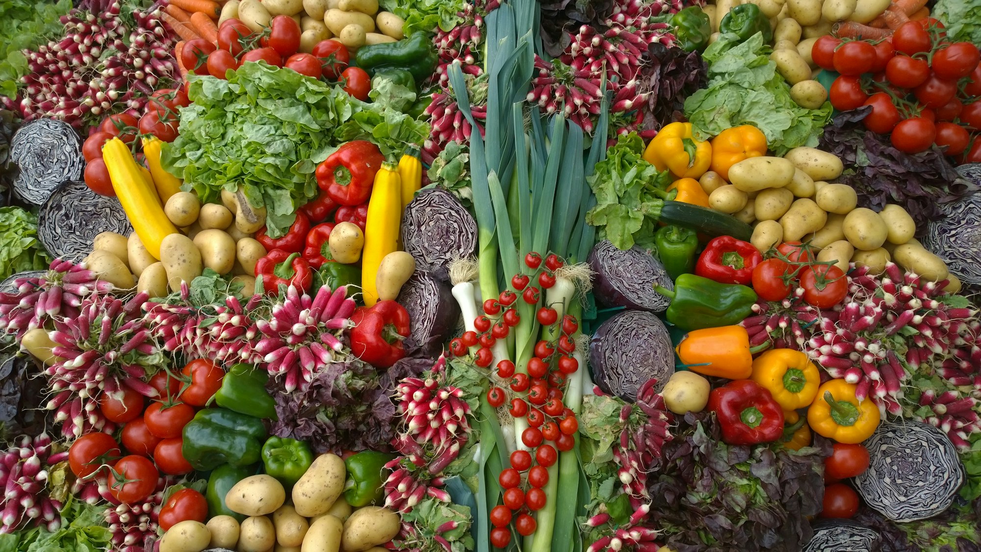 Fiber on GLP-1s: Avoiding Constipation | Southlake TX