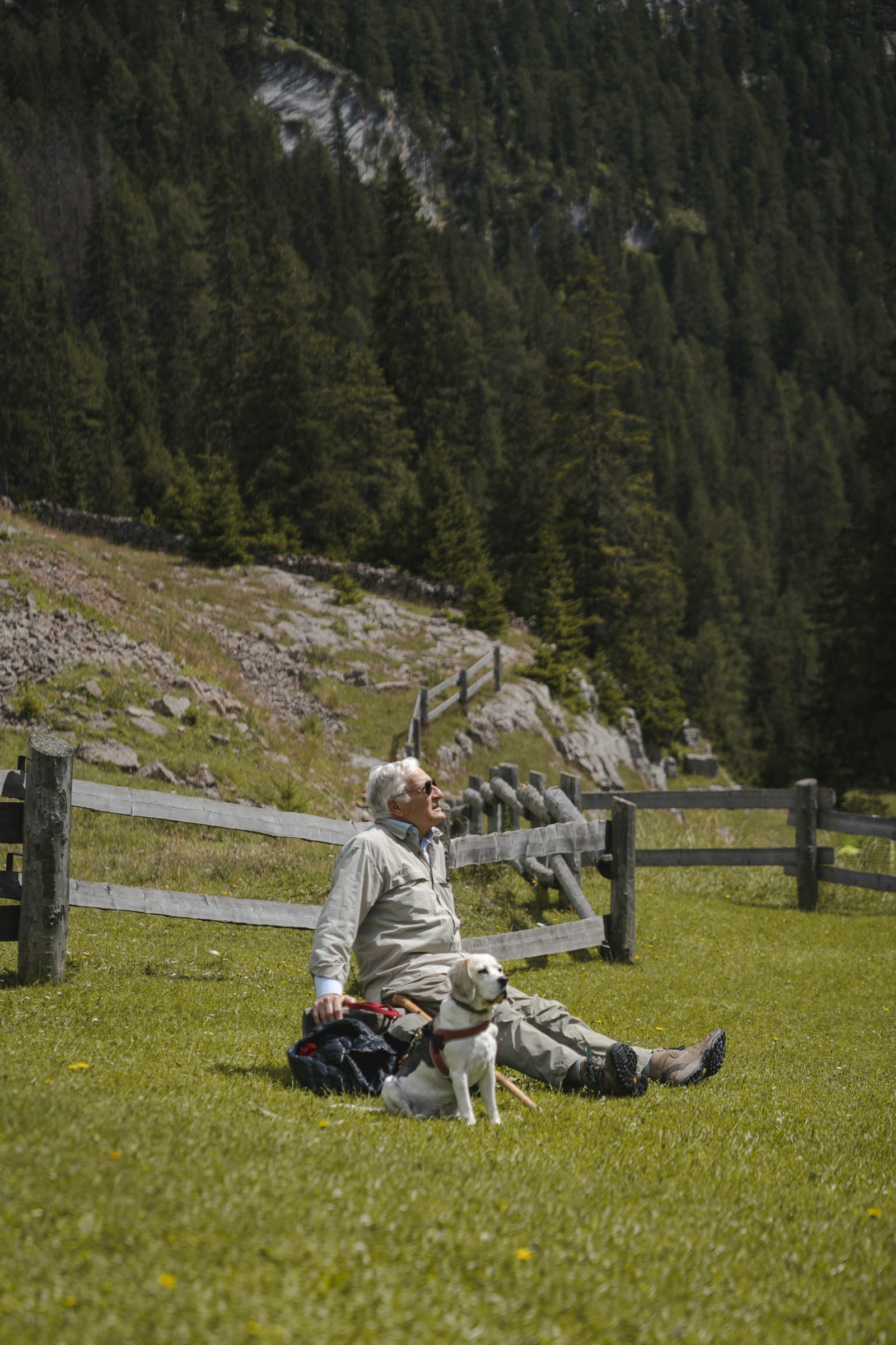 Testosterone and Longevity: Does Optimized T Add Years?