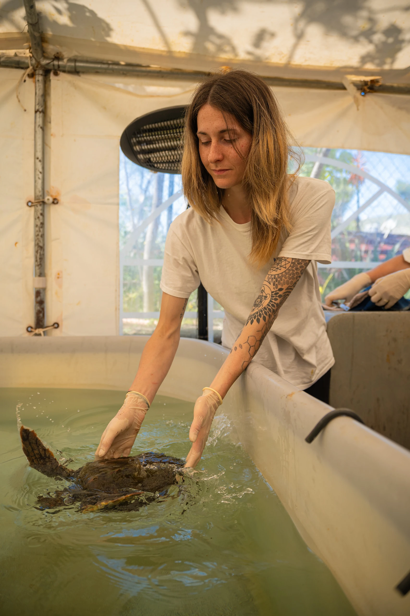 Lampedusa Turtle Rescue, associazione Caretta Caretta, Documentario, Un gesto piccolo così, studio Looma. Donna con guanti in lattice che maneggia una tartaruga in una vasca durante un'attività di conservazione.