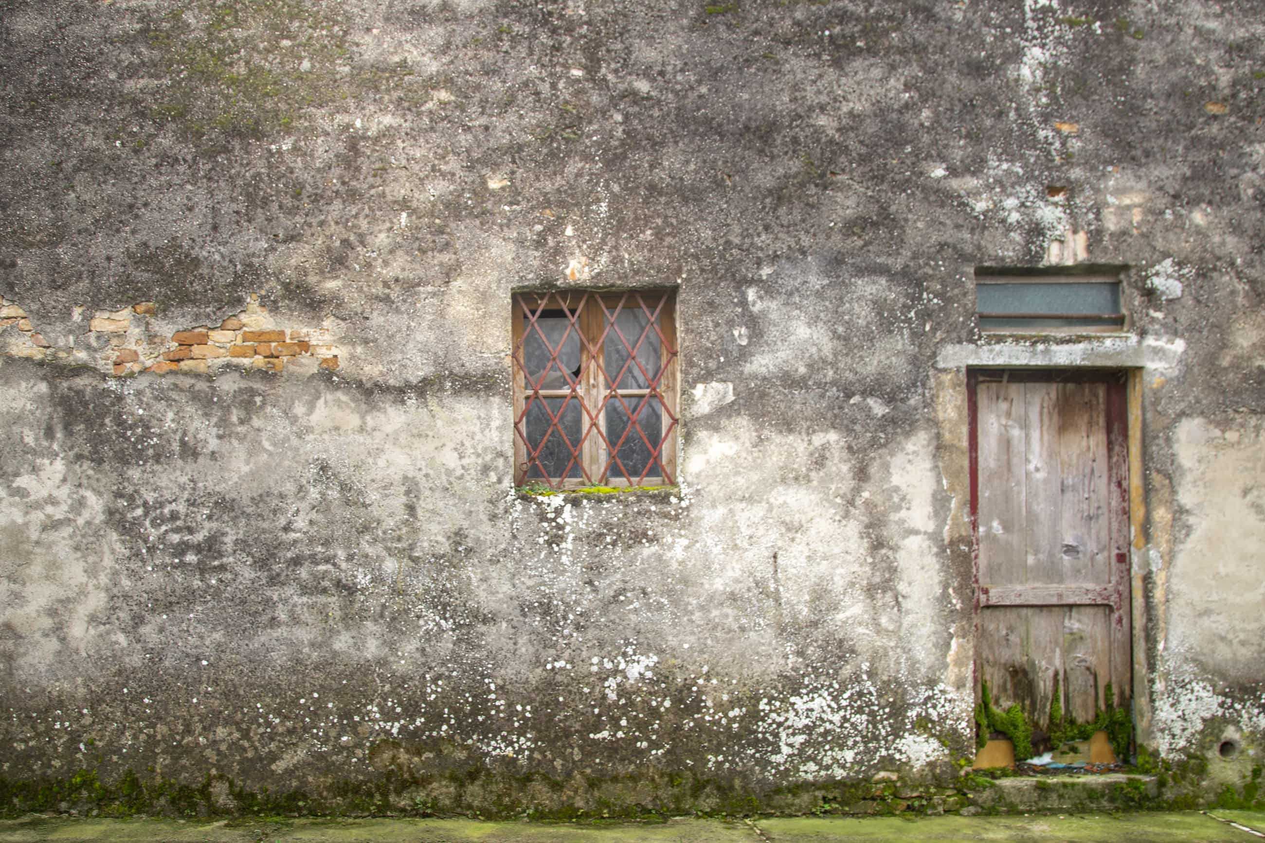 Un paese nuovo, Ceresara, Libro. Parete esterna di un edificio vecchio con una finestra con grata incrostata di muschio e una vecchia porta di legno con vegetazione alla base.