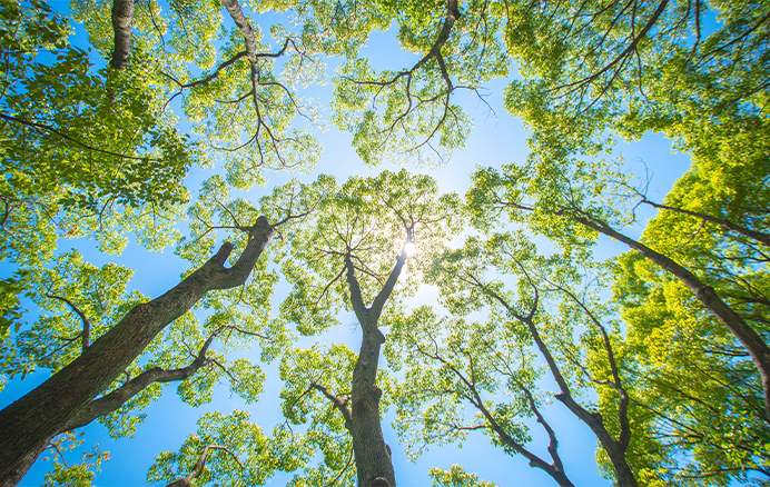 Debat “Circulair plat dak”