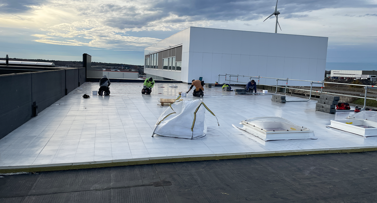 Falcon Automation Genk