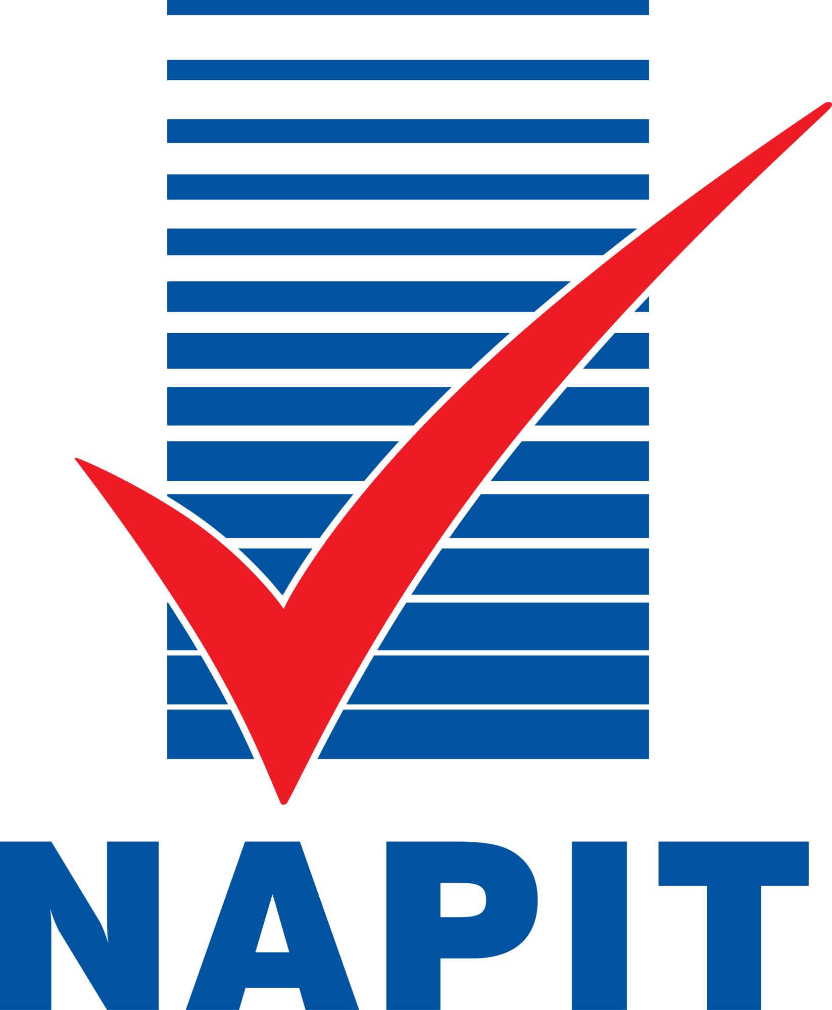 Blue stacked horizontal bars with a large red checkmark and the text NAPIT below.