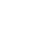 globe icon