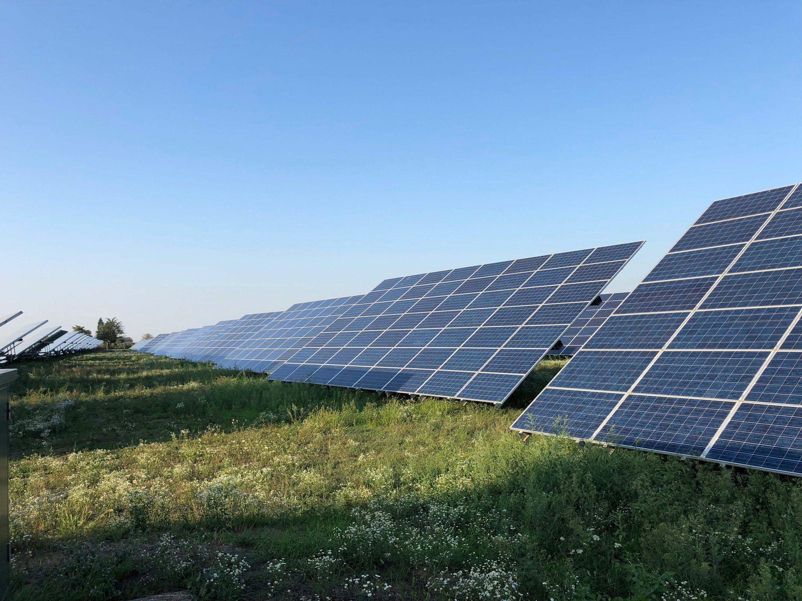 Rows of solar panels tilted on grassy field under clear blue sky.