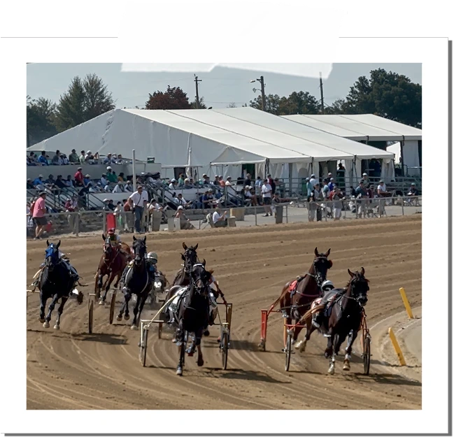Harness race with six horses and drivers competing on a dirt track past a grandstand with spectators under white tents.