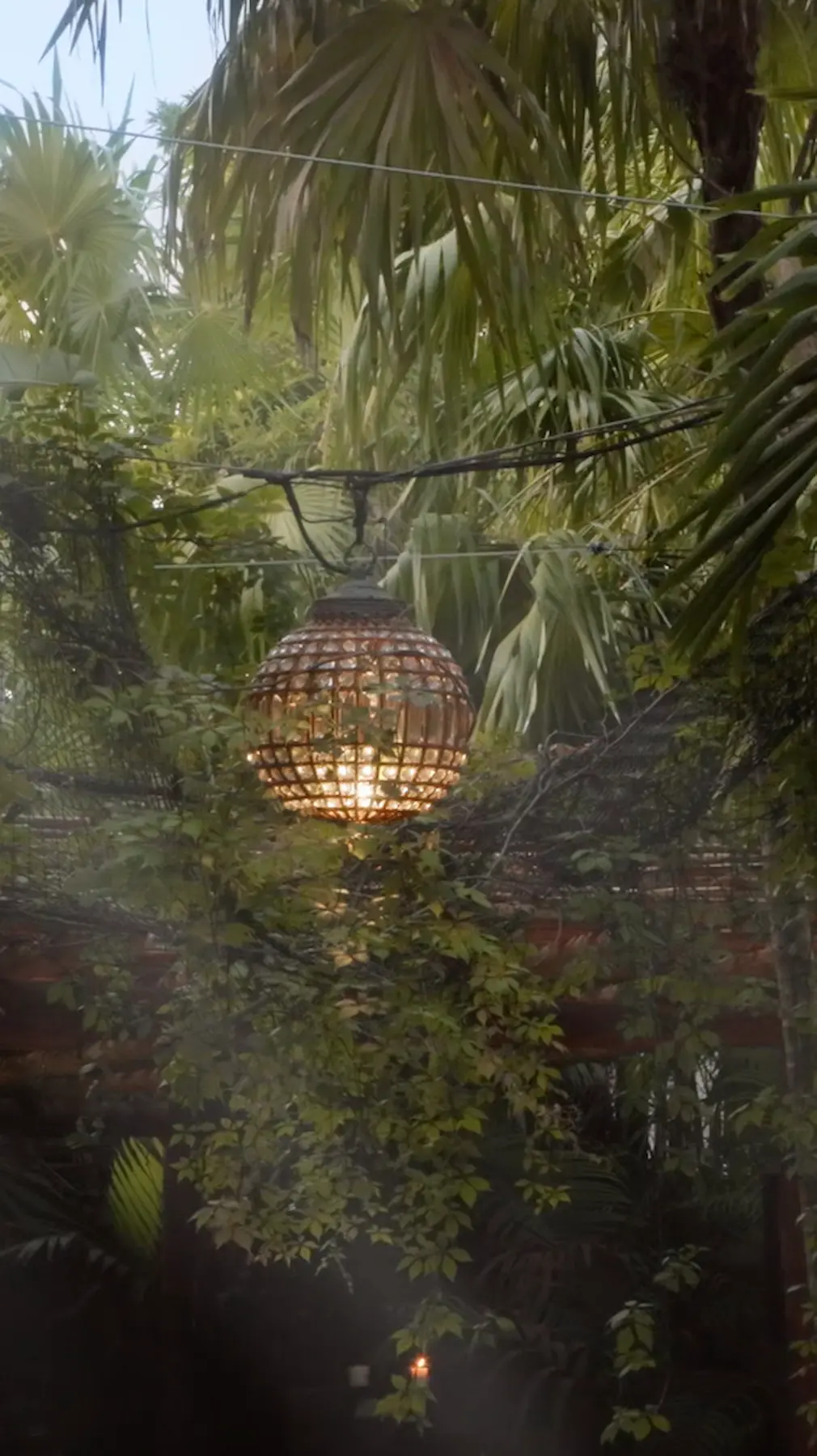 Gourmet avocado toast and a refreshing cocktail served by the pool at La Valise Tulum hotel, showcasing the restaurant's luxurious tropical dining experience.