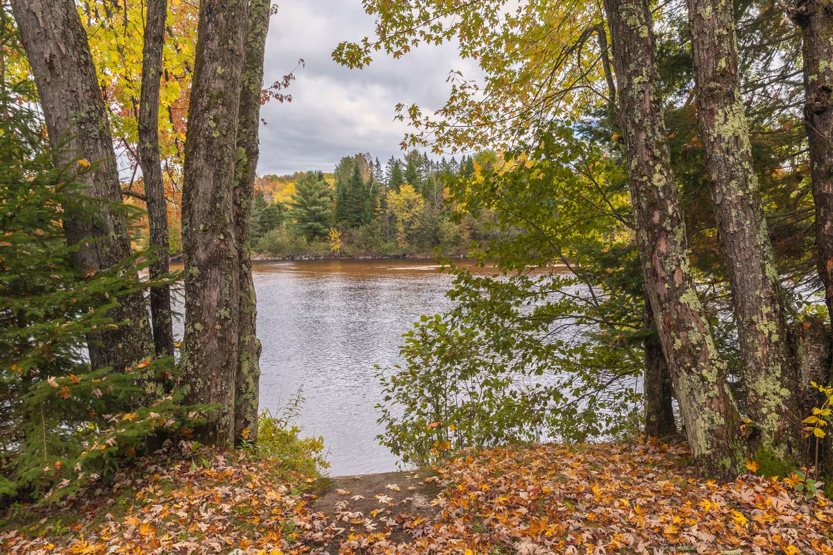 Vue rivière, chalet Le Phoenix
