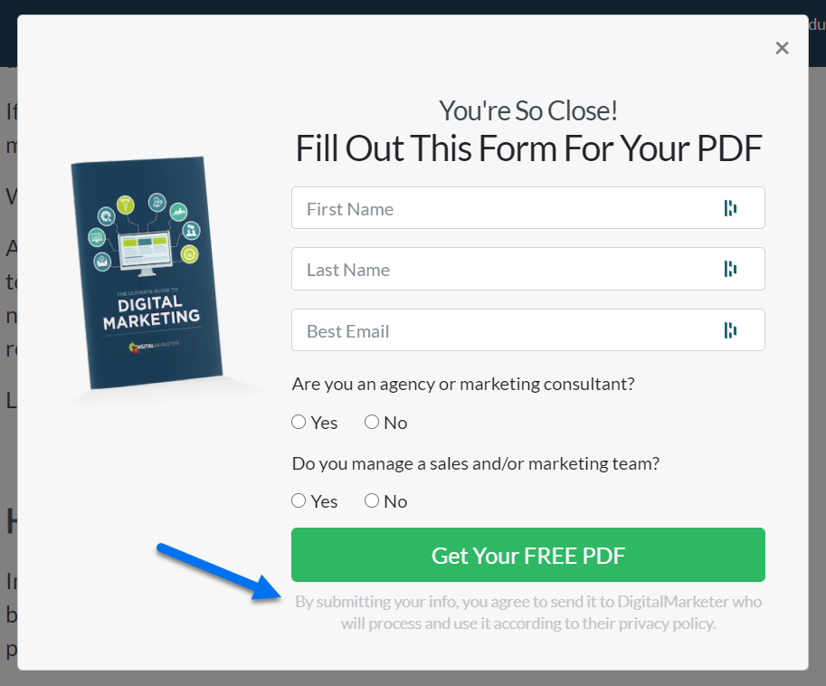 image of a popup with a form to get a free pdf of digital marketing tips