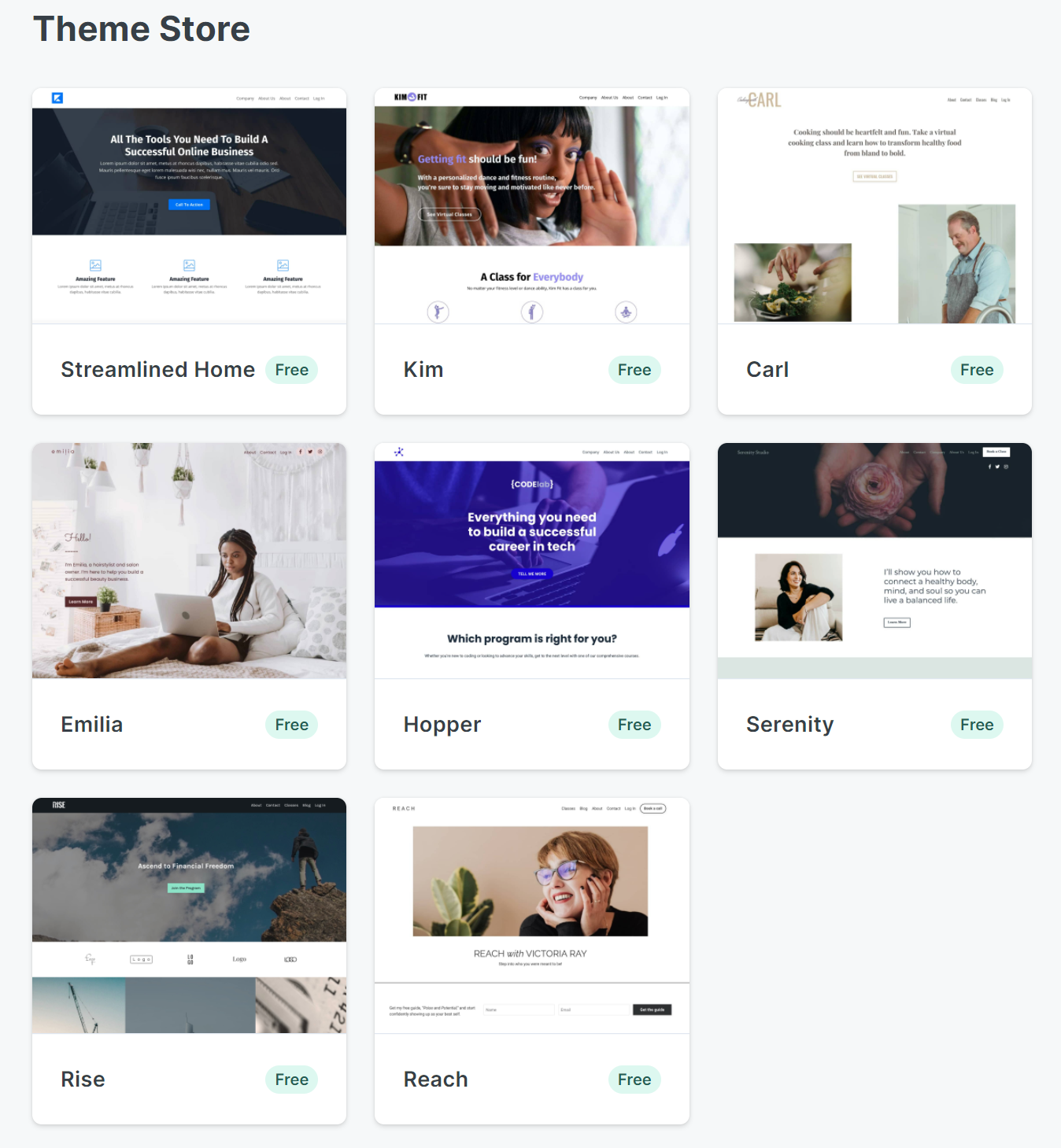 Screenshot of the Kajabi website theme options