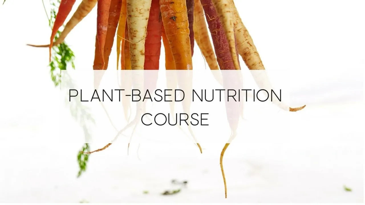 Cover image for a plant-based nutrition course by Vegologie