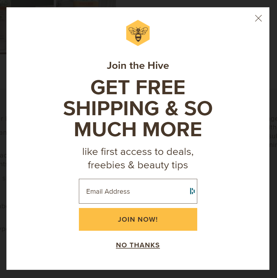 Screenshot of a Burt's Bees lead generation form saying "Join the Hive"