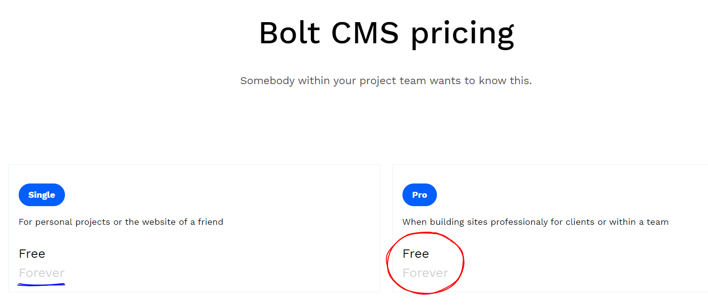 Bolt's plans and pricing