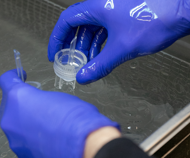 Hands wearing blue gloves handling a small transparent container with a clear liquid and a pipette over a water surface.