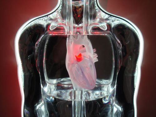 Full Size Acrylic Cnc Machined MAN For Key Hole Surgery Exhibition