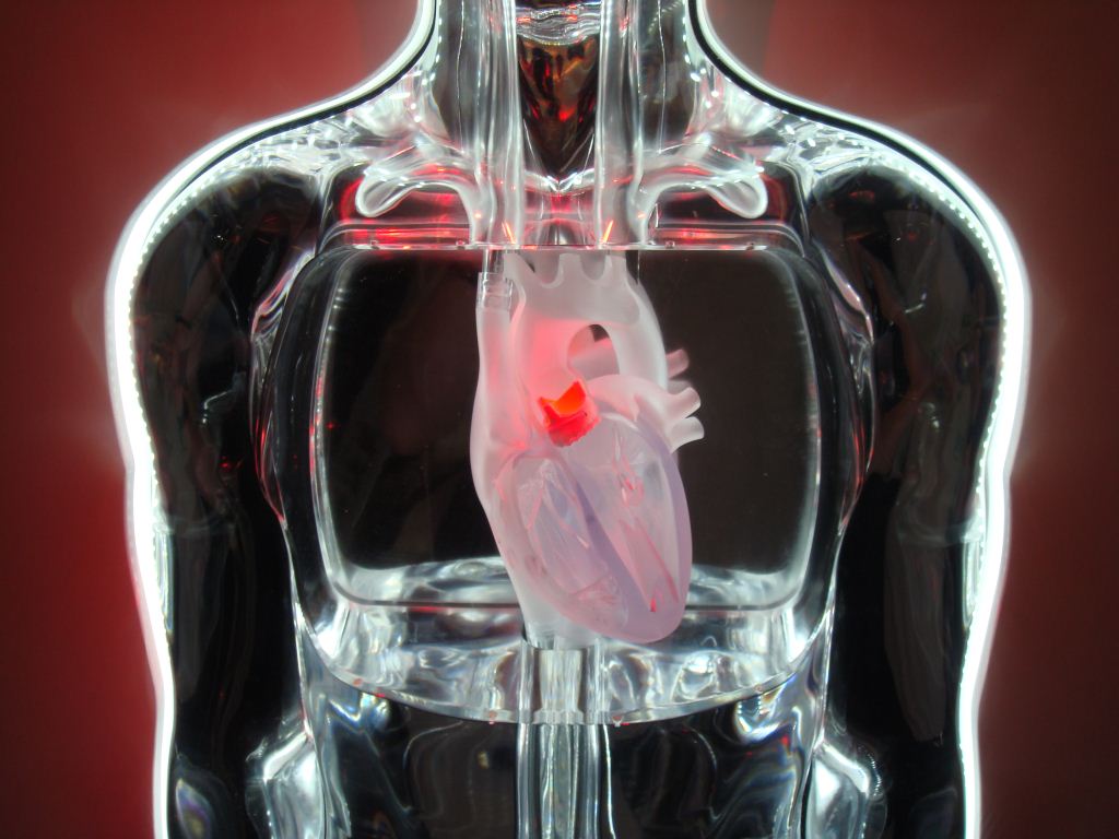 Full Size Acrylic Cnc Machined MAN For Key Hole Surgery Exhibition