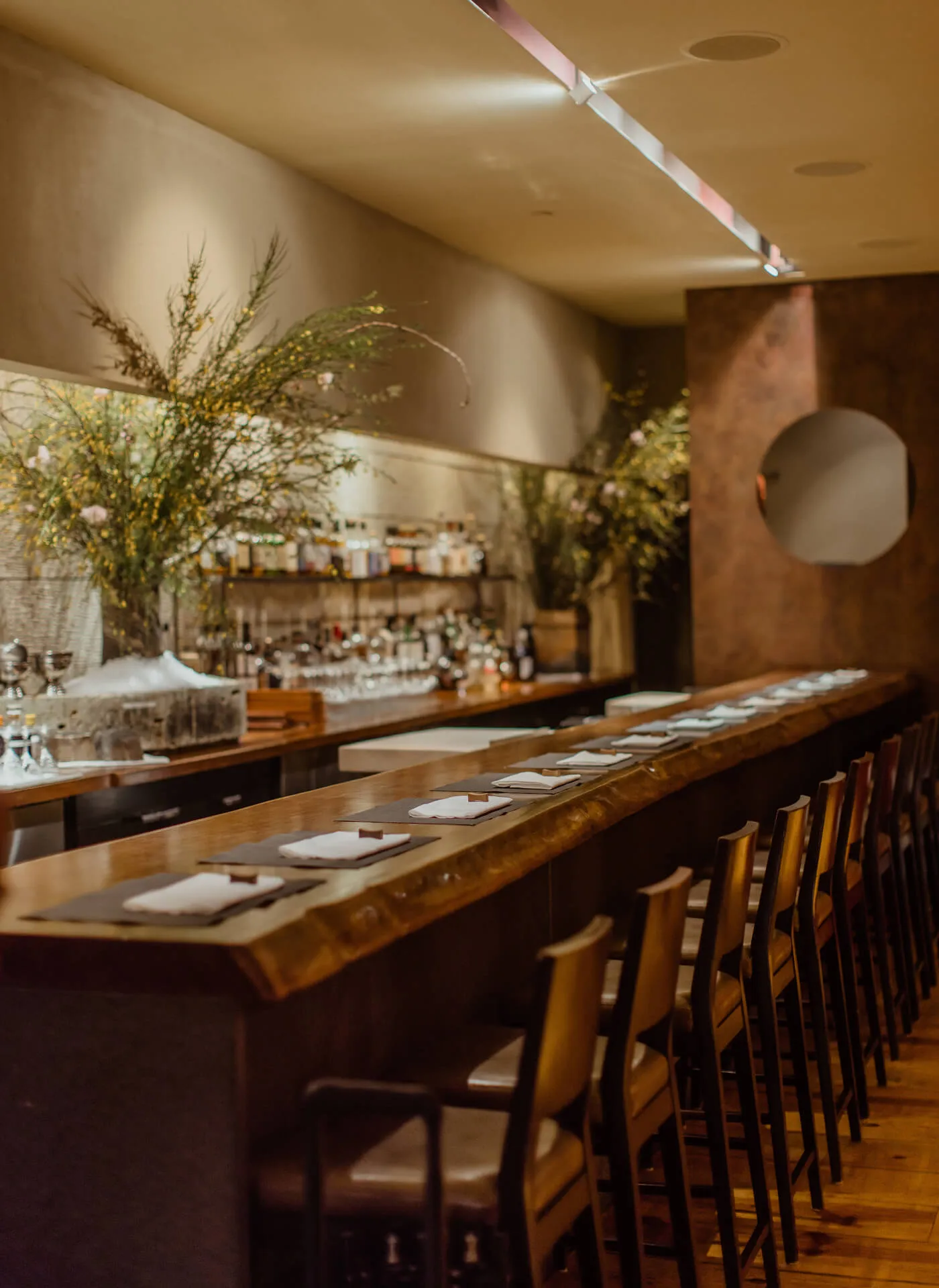 Shot of the Bar at Bar Masa