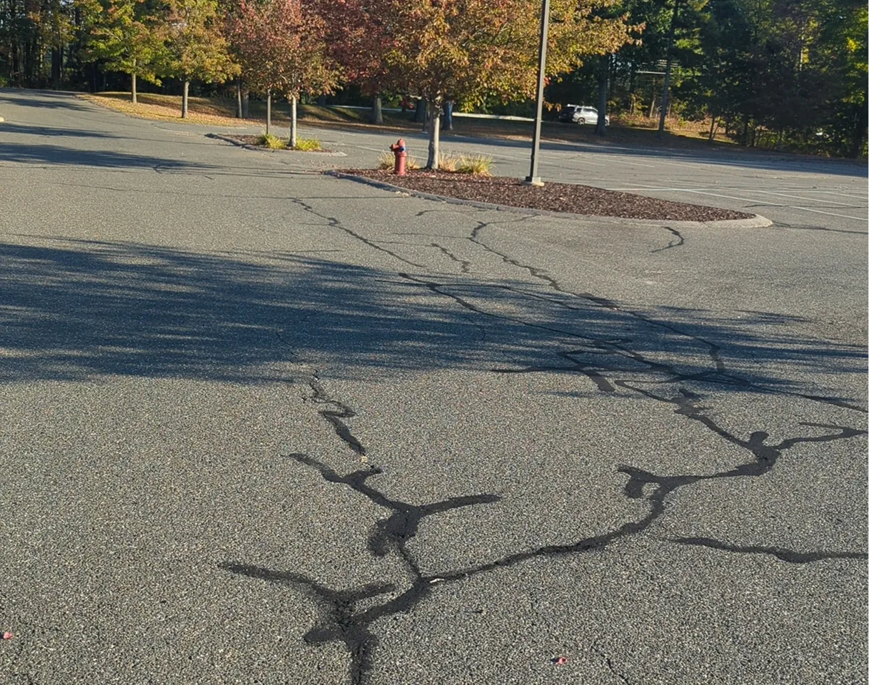 Commercial Crack Filling job