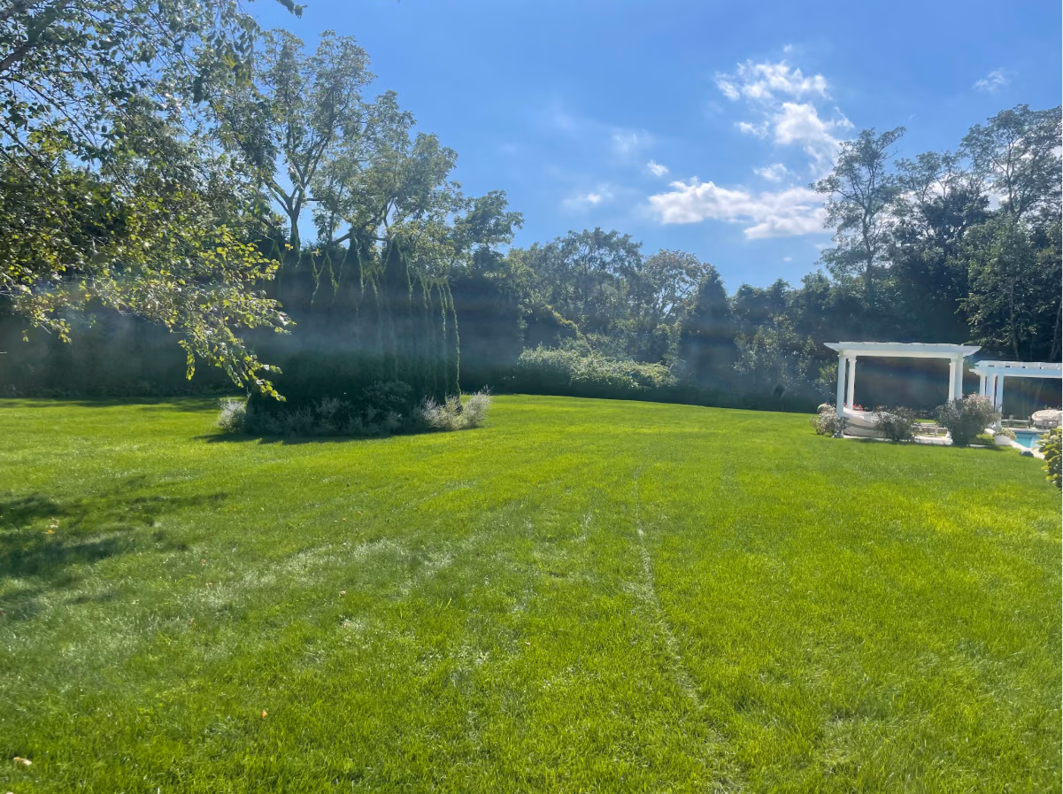 Sunlit green lawn with dense trees and bushes in the background and white pergolas near a pool on the right.
