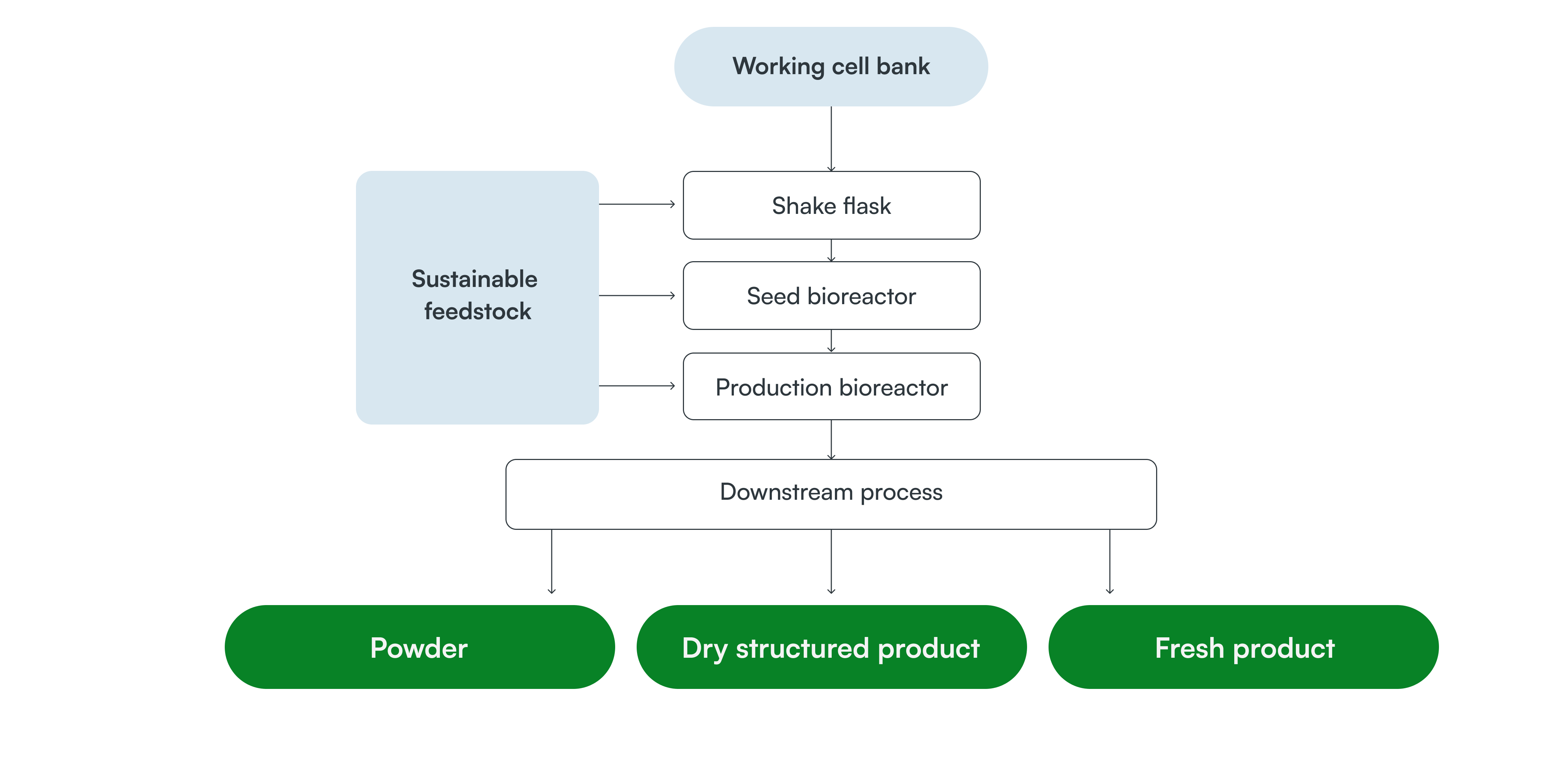 Our process to create Koji Protein is minimal and sustainable.
