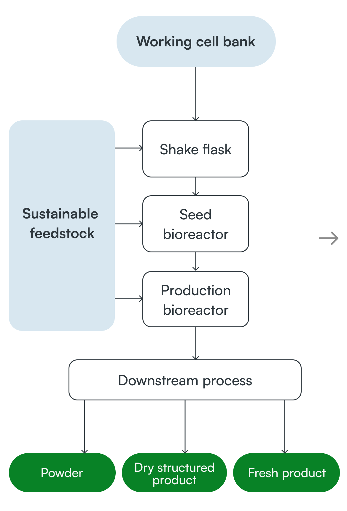 Our process to create Koji Protein is minimal and sustainable.
