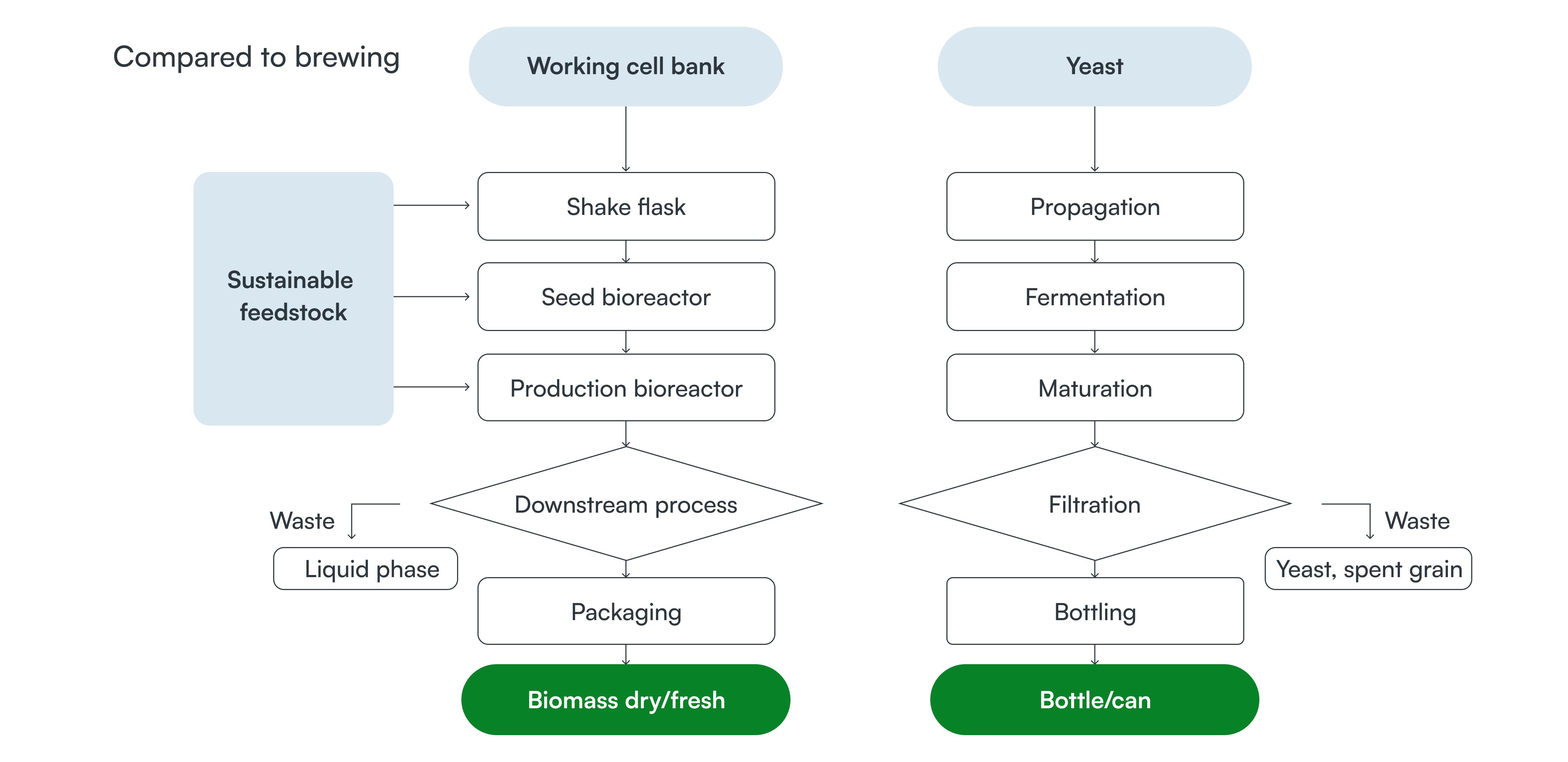 Our process to create Koji Protein is minimal and sustainable.