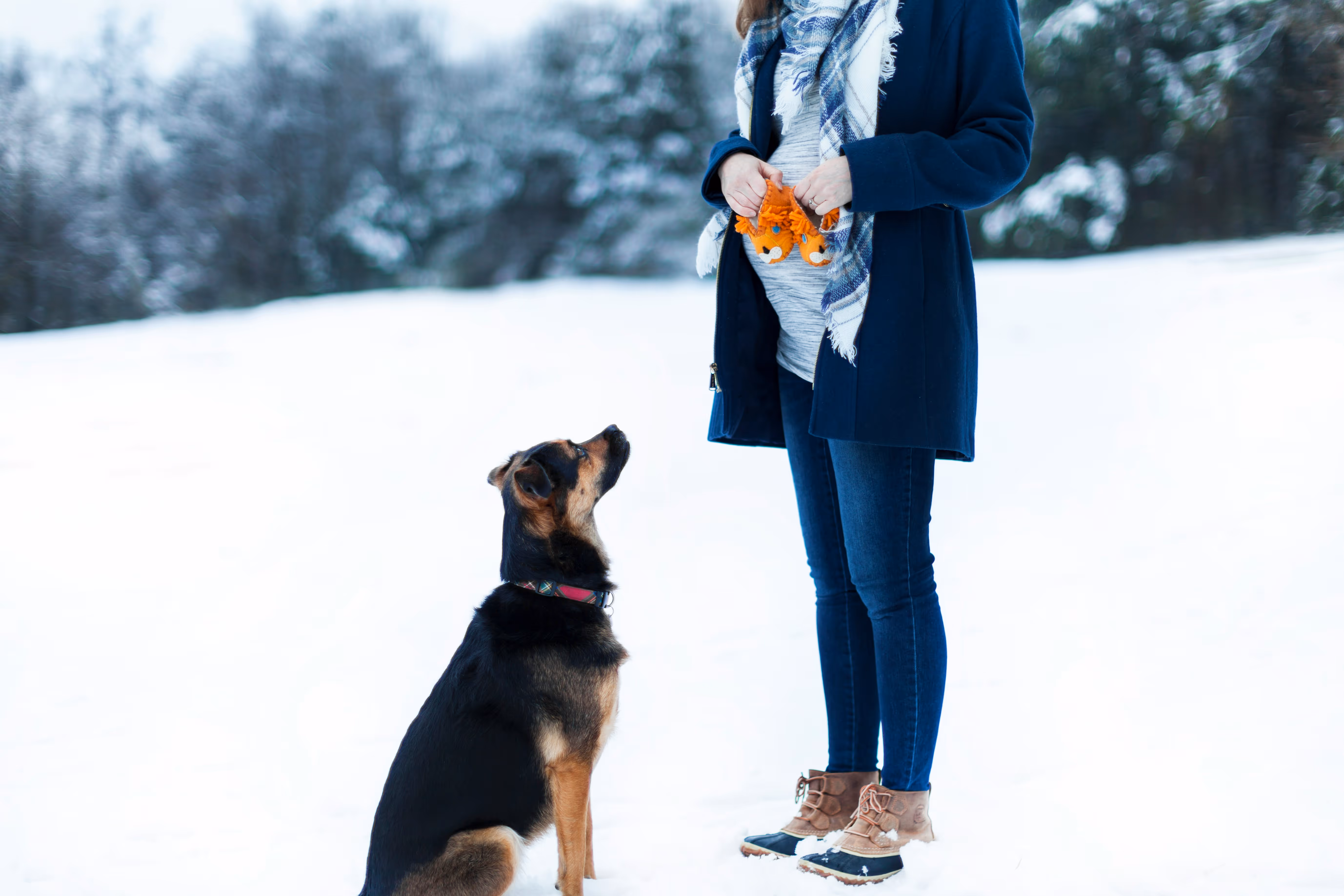 A dog and it's human in the snow looking at each other.