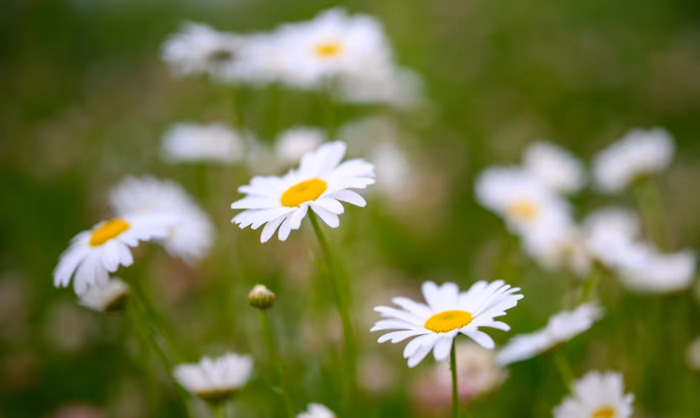 2026 Climate Week Finale Event