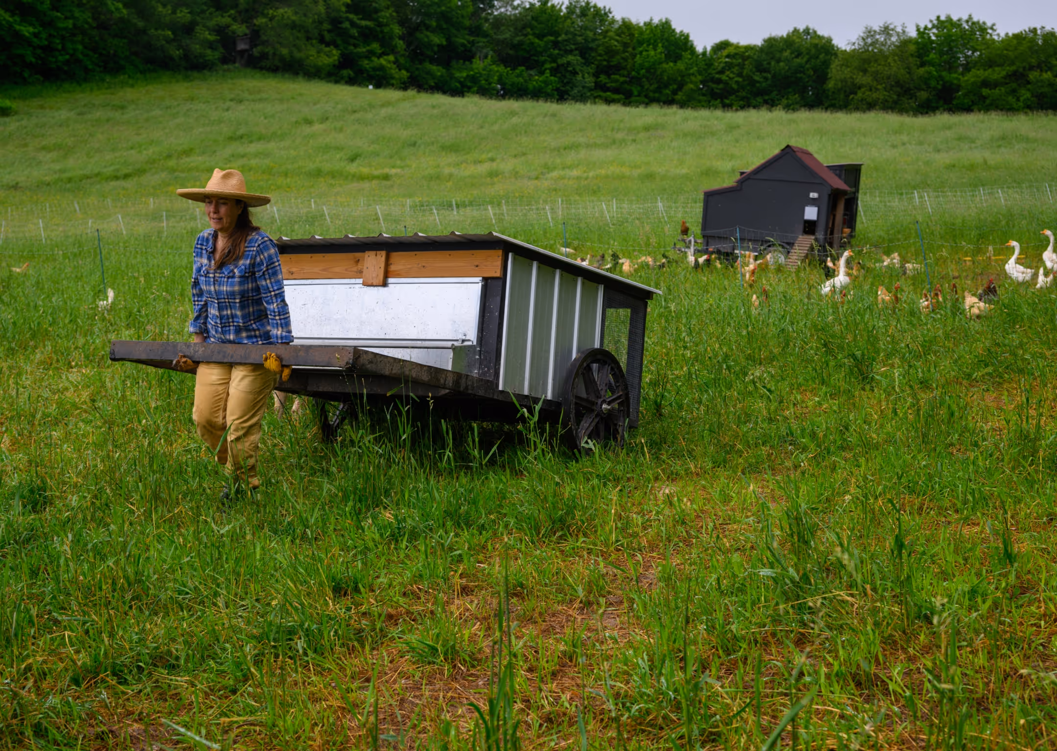 Bovina Center - Moving Day