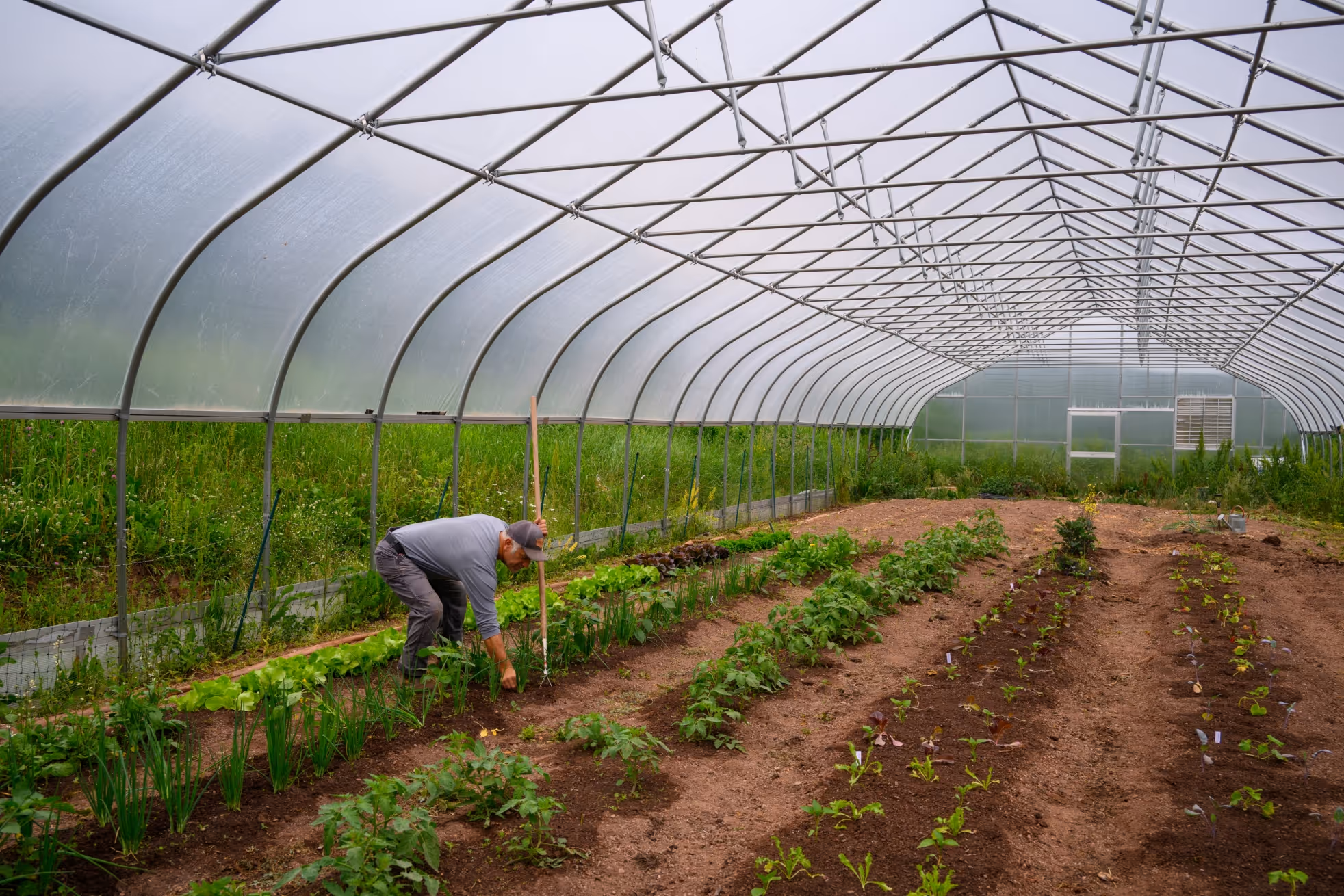 Sustainability slider image of farm practices