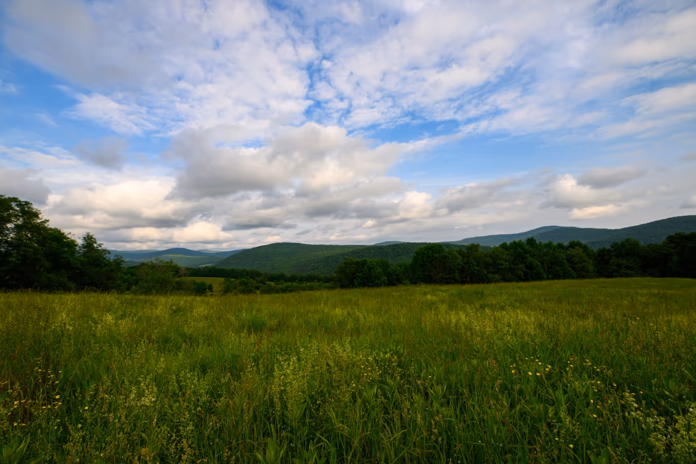 Farm Tours at Bovina Center