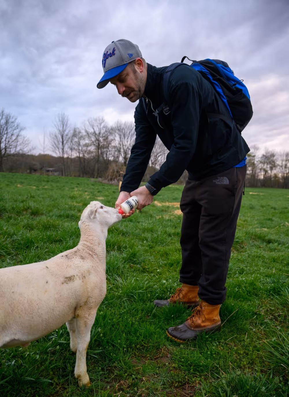 Farm-to-table dining at Bovina Center