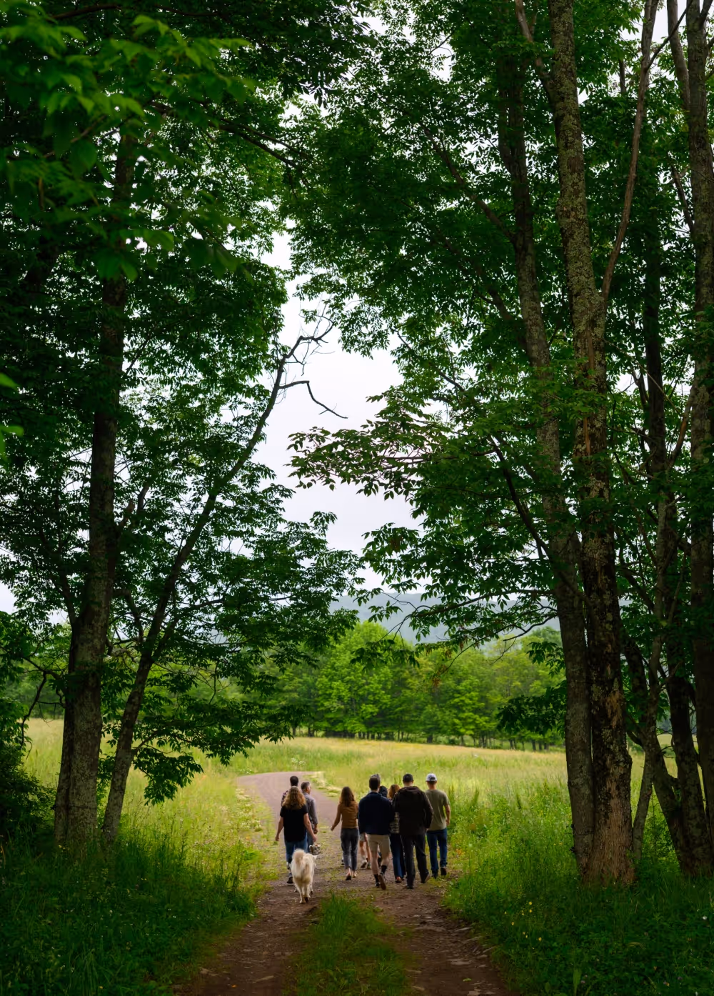 Farm-to-table dining at Bovina Center