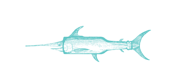 Fish N Beer logo