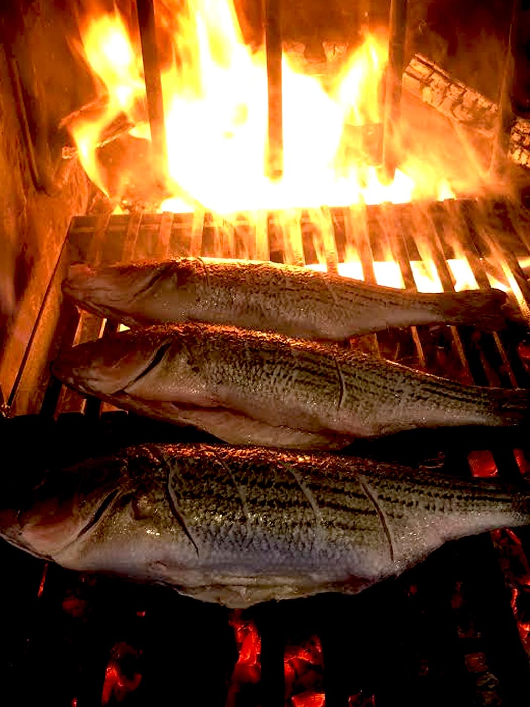 Whole bass fish cooking on a wood fire grill
