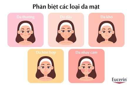 Phân Biệt Các Loại Da Mặt Với 6 Cách Đơn Giản & Cách Chăm Sóc | Eucerin