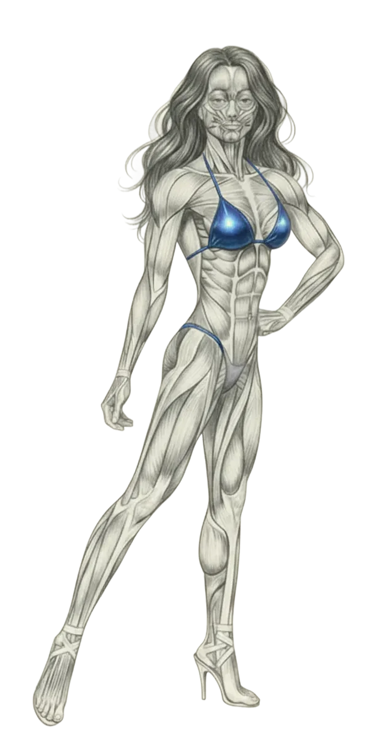 Anatomical illustration of a muscular woman wearing a blue bikini and high heels, showing detailed muscle structure.