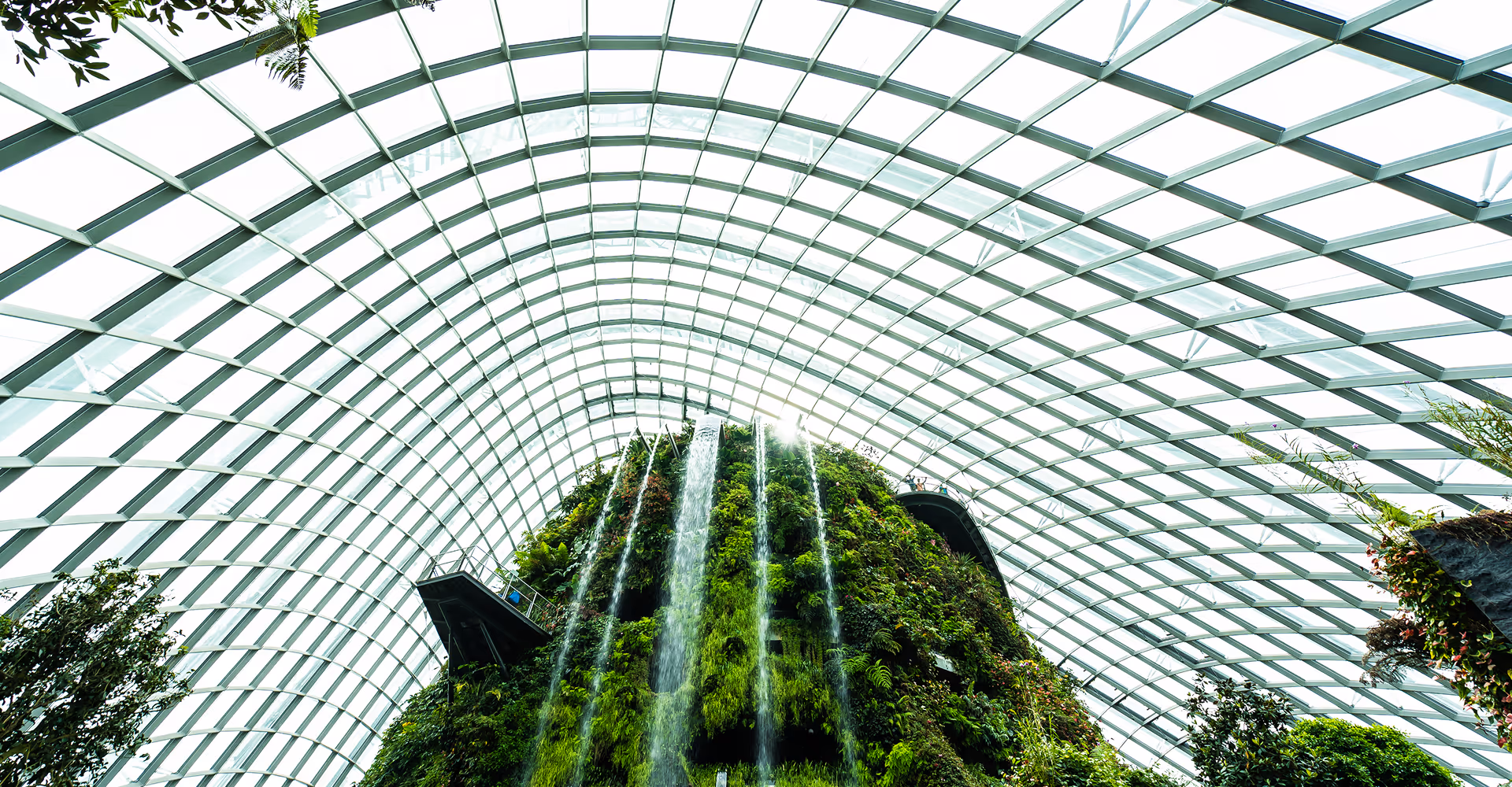 Projects Image- Home