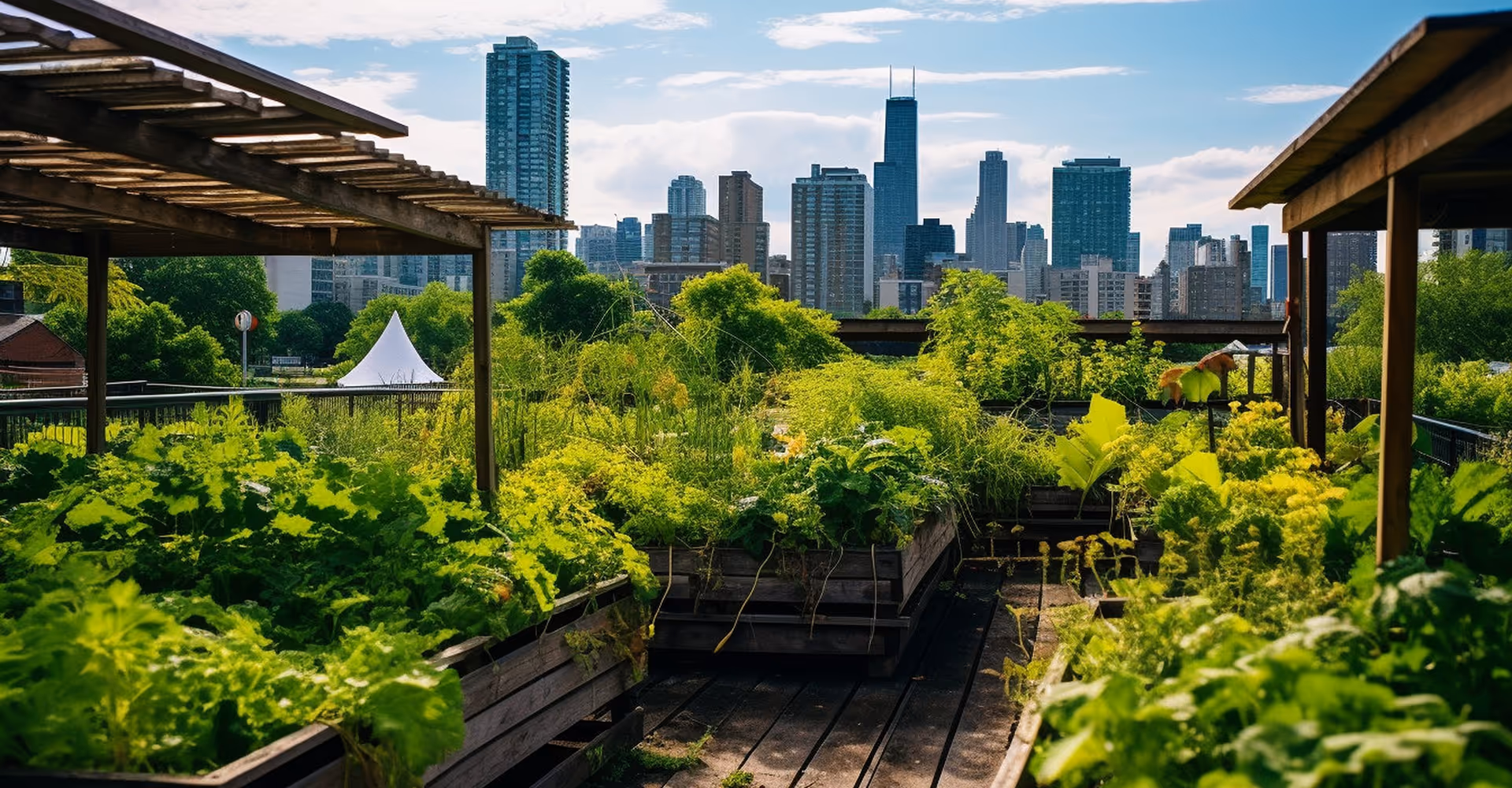 Projects Image- Home