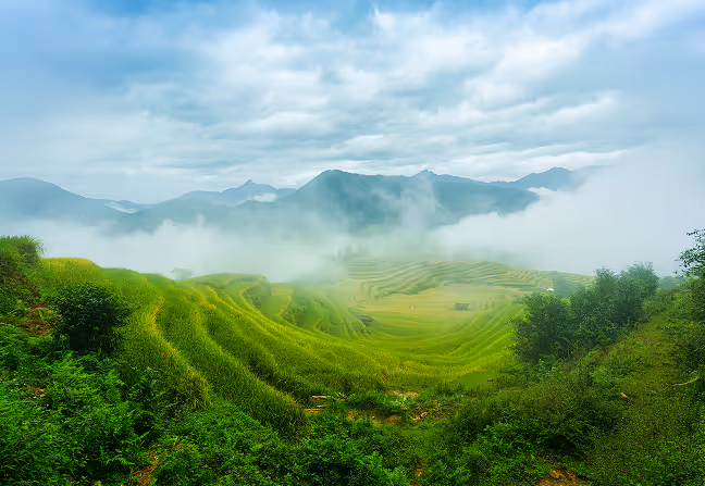 Environmental Values Image