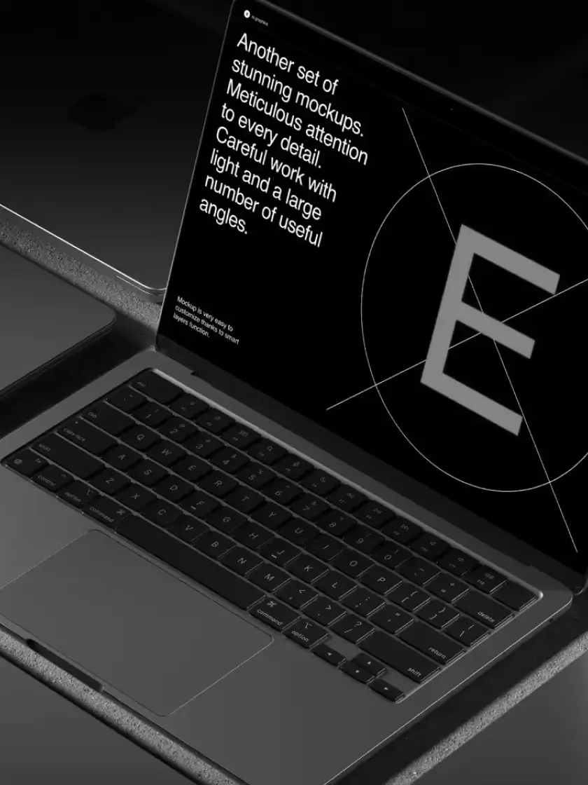 Project V1 Small Image