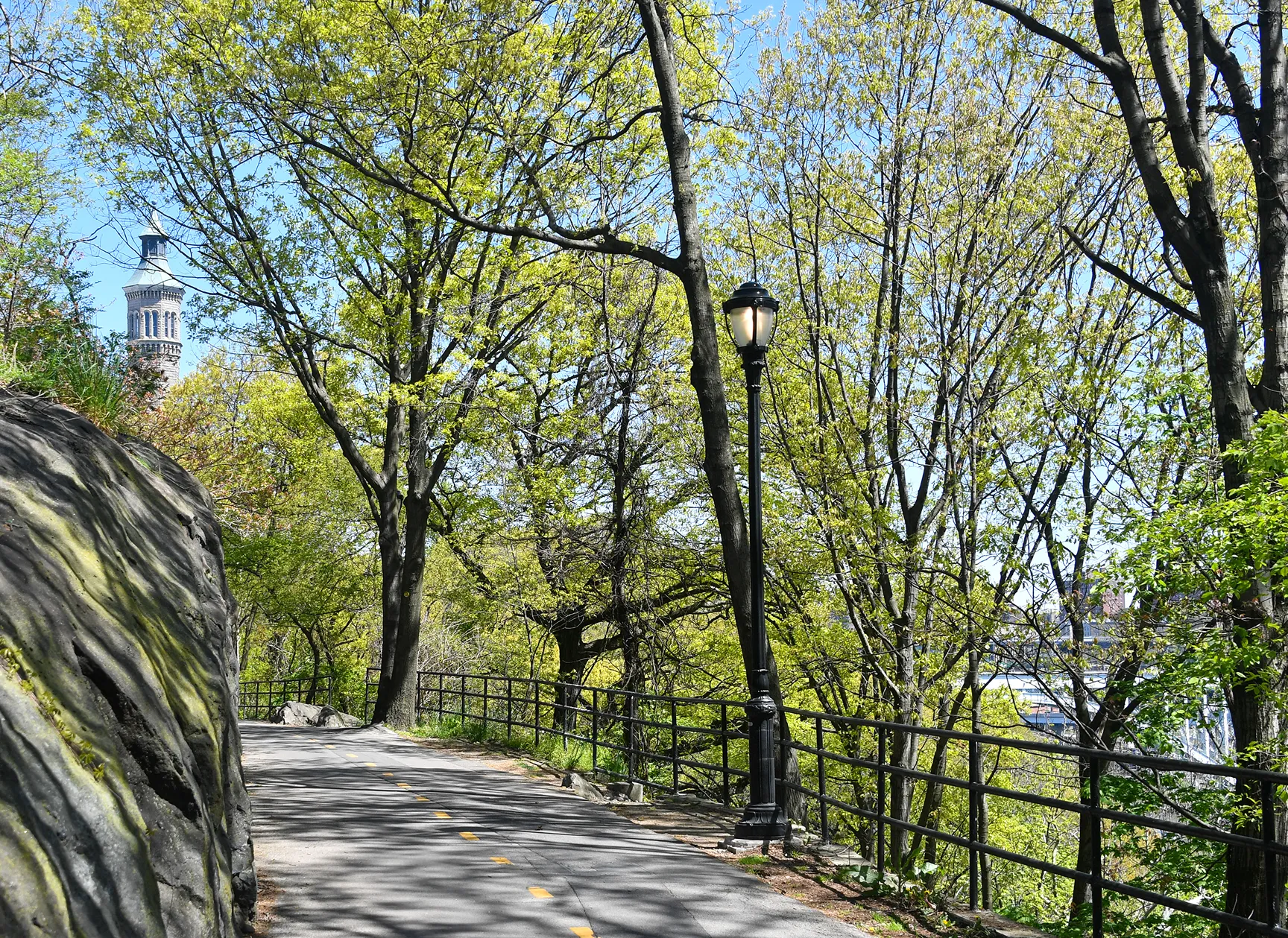 Park pathway lined with trees and lamp post