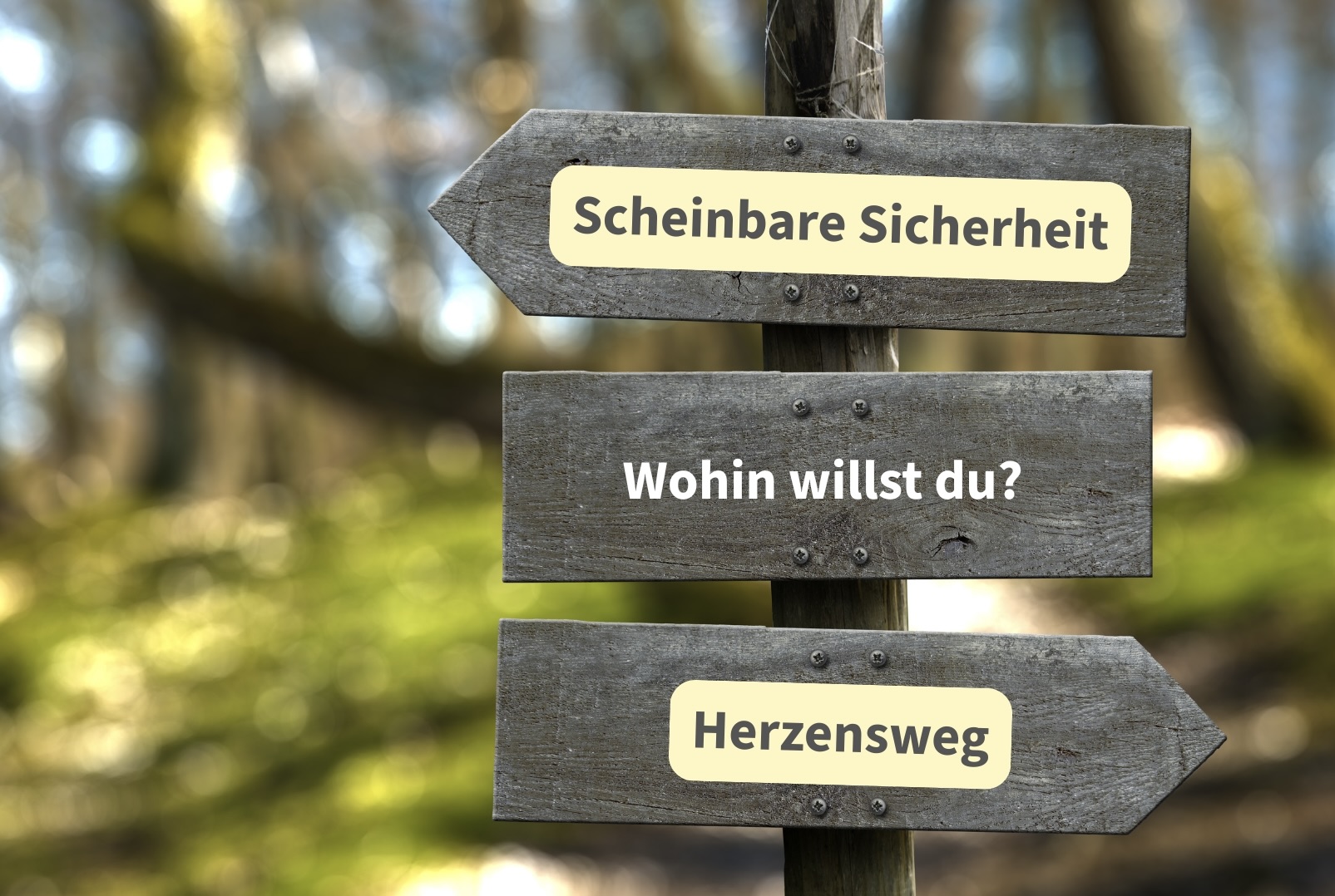 image of students collaborating on a project (for a edtech)