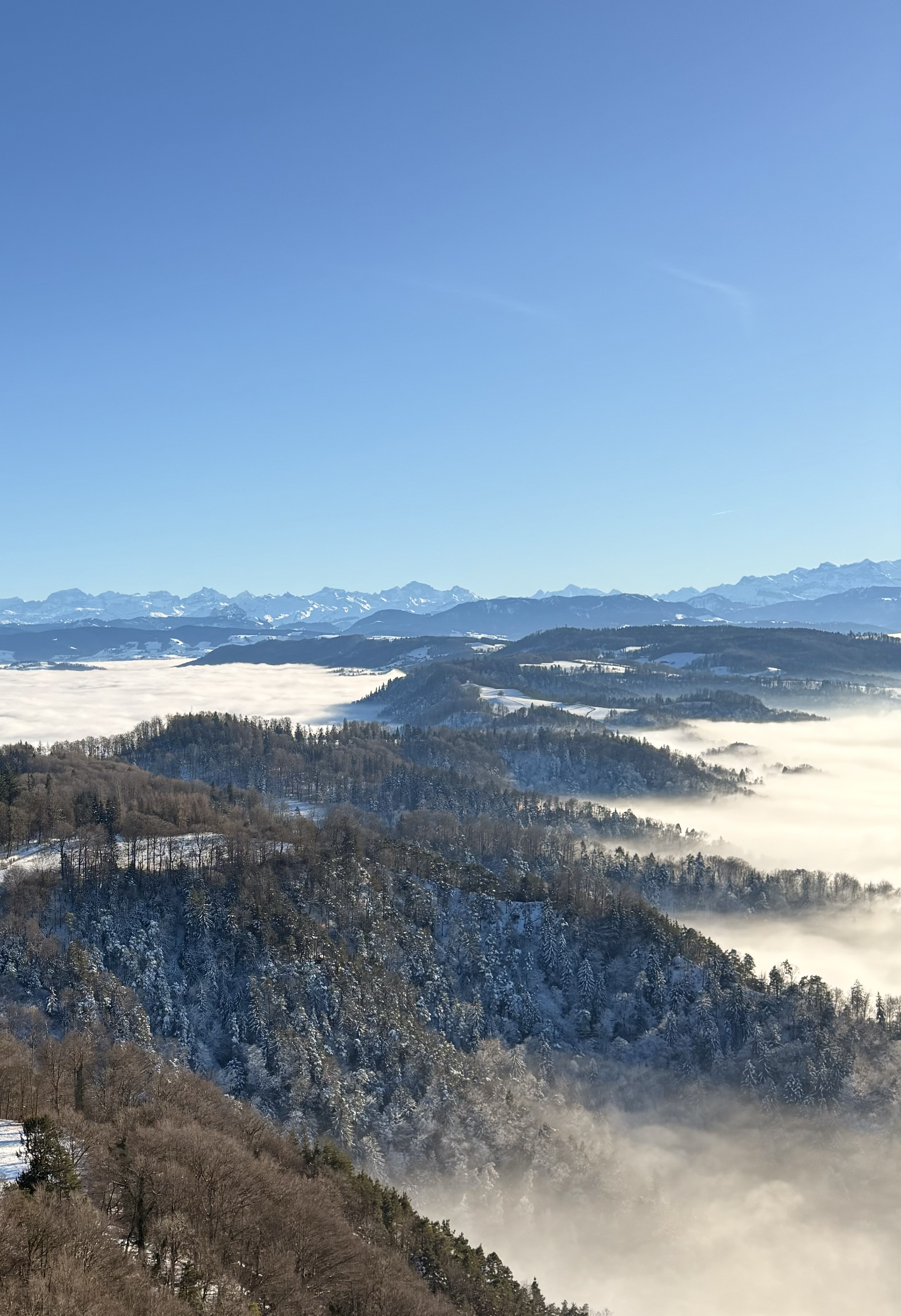 [background image] image of jewelry workshop