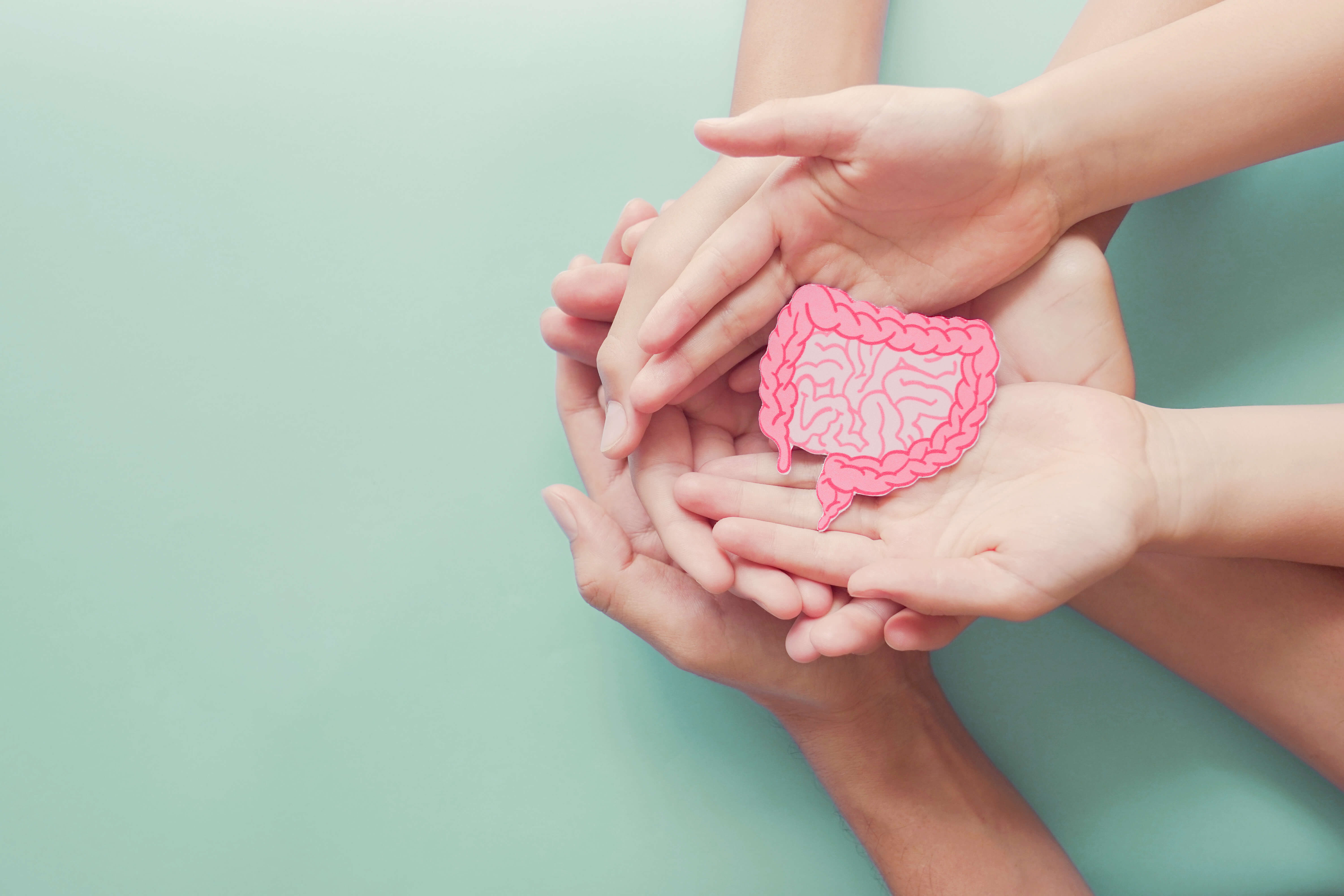 Lipids and gut health in the first 1000 days